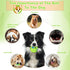 Interactive Dog Ball, Large Dog Ball Toy, Interactive Dog Toy for Small/Medium/Large Dogs, Herding Ball for Dogs with Fun Giggling Sounds When Rol...