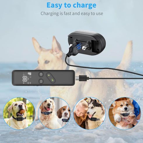 for Delupet Dog Training Collar Charger Replacement, MEROM Power Cable Compatible with Yawpet Dog Shock Collar, 2-in-1 Magnetic Charging and Micro...