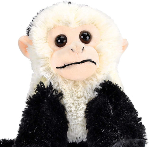 Wild Republic Capuchin Plush, Stuffed Animal, Plush Toy, Gifts for Kids, Cuddlekins 8 Inches, Multi (12274)...