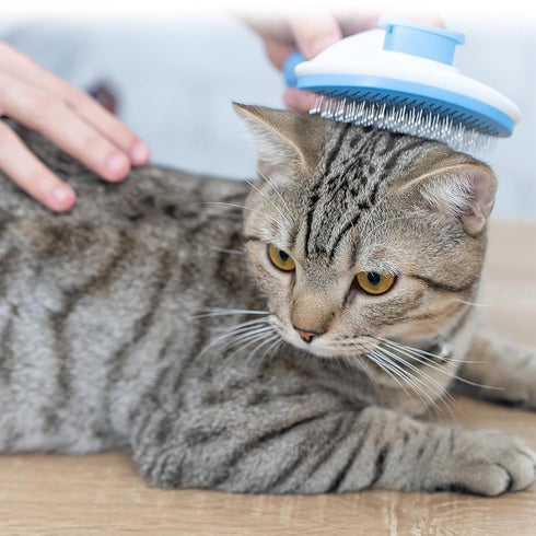 Dog brush, cat brush, Dog Brush for Shedding, self-cleaning pet brush, removes loose hair and tangles, promotes blood circulation, pet accessory, ...