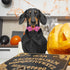 Halloween Boy Dog Collar Bow Tie, Thick Purple Pumpkin Male Dog Collar with Safety Metal Buckle Adjustable Wide Big Collars for Small Medium Large...