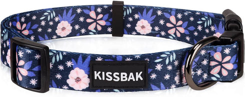 KISSBAK Dog Collar for Medium Dogs - Special Design Cute Girl Dog Pet Collar Soft Adjustable Fancy Floral Girl Puppy Dog Collars (M, Pineapple Flo...
