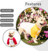 Dog Clothes for Small Dog, Breathable Stretchy Dog Raglan Shirt, Soft Comfortable Cat Puppy Kitten Pet Apparel Outfits (S?1-4lb?, Yellow & Red)...
