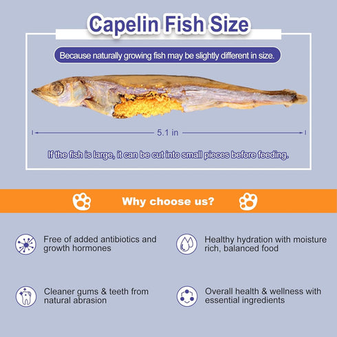 Freeze Dried Fish Dog Treats - Whole Capelin Fish Seeds Cats Treats Natural Single Ingredient Delicious Snacks Training Healthy Chews Food Pet Foo...
