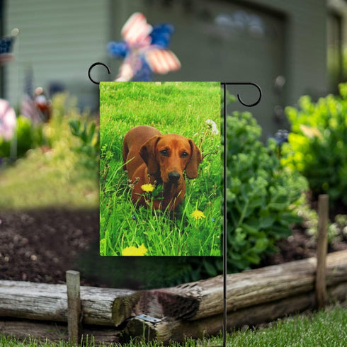 Dachshund Dog Garden Flag Double Sided 12 x 18 Inch, Yard Flags, Decorative Small Garden Flags, Outdoor Lawn and Garden Décor...