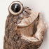 Bits and Pieces – Keep Quiet Frog Tree Peeker - Yard Decorations - Adorable Tree Sculpture - Garden Decoration - Garden Peeker Tree-Hugger Yard Ar...