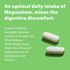 Jigsaw Health MAG SRT | Magnesium Supplement with Vitamin B6, Folate & B12 | 120 Tablets...