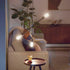 Vintage Flicker-Free Clear Spiral ST19 Dimmable, Eyecomfort Technology, 500 Lumen, Daylight(5000K), 5.5W=60W, Title 20 Certified, E26 Base, 1-Pack...