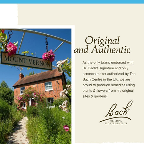 Bach Original Flower Remedies, Vervain for Relaxation and Calm (Non-Alcohol Formula), Natural Homeopathic Flower Essence, Holistic Wellness and St...