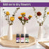 Essential Oils Natural Oils Fragrance Oil for Diffuser Humidifier Home Candle Making Replenish Set-6 Pack,Lavender, Lemon, Peppermint, Sweet Orang...