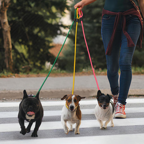 3pcs Slip Lead Dog Leash,Strong Nylon Rope Leash,Training Leash for Large Medium and Small Dogs...