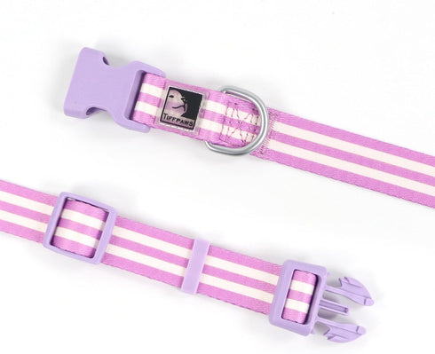Striped Puppy Dog Collar Personalize Dog Collar for Dog Training Easy Cute Dog Collar Small Dog Collar Puppy Collars (Purple, S(14-20in))...