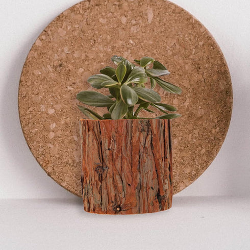Imitation Wood Pile Flower Pot: Bonsai Tree Plant Pot Decorative Rustic Stump Cactus Container Rustic Planter Miniature Succulent Pot for Garden I...
