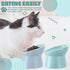 Zhehao 2 Pieces Plastic Raised Bowl Tilted 15 Degrees Elevated Cat Food and Water Bowls Set Anti Vomit Dog Kitten Food Dishes Pet for Cats and Sma...
