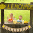 Jute Burlap Lemonade Banner Rustic Summer Lemon Stand Party Mantel Fireplace Decoration...