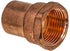 10-Pack 1/2-Inch Copper Female Adapter C x FNPT, Certified Safe for Drinking Water (CWFA0012-10P)...