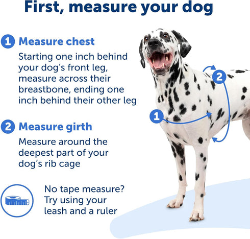 PetSafe Easy Walk No-Pull Dog Harness - The Ultimate Harness to Help Stop Pulling - Take Control & Teach Better Leash Manners - Prevent Pets Pulli...