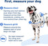 PetSafe Easy Walk No-Pull Dog Harness - The Ultimate Harness to Help Stop Pulling - Take Control & Teach Better Leash Manners - Prevent Pets Pulli...