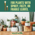 Southside Plant Cactus & Succulent Plants Cleaning Brushes - Wooden Handles w/Soft Goat Hair Bristles - Garden Cleaning Tools, Gentle on Plants, 7...
