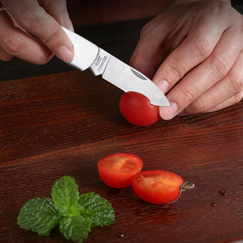 Kocpudu Paring Knife,all Steel Foldable Fruit Knife, All Steel Handle, Fruit Knife Small of Exquisite,small and Easy to Carry,suitable for Most Ty...