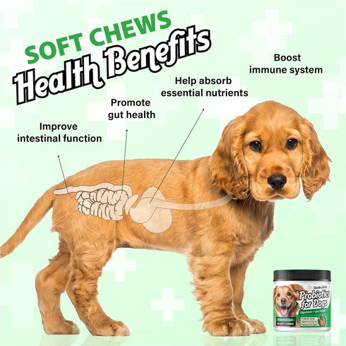 Probiotics for Dogs, Gut H??lth and Digestive Support...