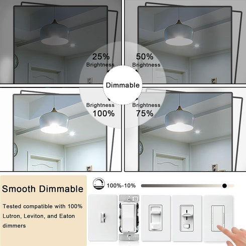 7.3 Inch E26 Led Bulb 60 Watt Dimmable,5000K Daylight Edison Bulbs,6W Tubular T10 Long Clear Glass Light Bulb for Rustic Pendant,Industrial Pipe,W...