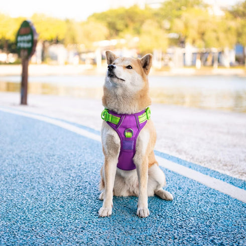 PHOEPET No Pull Dog Harness, Unique Colors Reflective Adjustable Dog Vest, with Soft Training Handle Metal Clips for Small Medium Large Dogs (Purp...