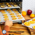 Silicone Dehydrator Sheets (6 Pack) Dehydrator Accessories for Cosori, Excalibur, Magic Mill- Fine MeshTrays - Mats, Jerky, Fruit and More...