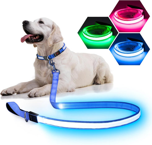 LED Light Up Dog Leash - 4 Ft USB Rechargeable Reflective Nylon Leash with Padded Handle - Flashing Luminous Glow Leashes for Large Medium Pets Ni...