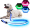 LED Light Up Dog Leash - 4 Ft USB Rechargeable Reflective Nylon Leash with Padded Handle - Flashing Luminous Glow Leashes for Large Medium Pets Ni...