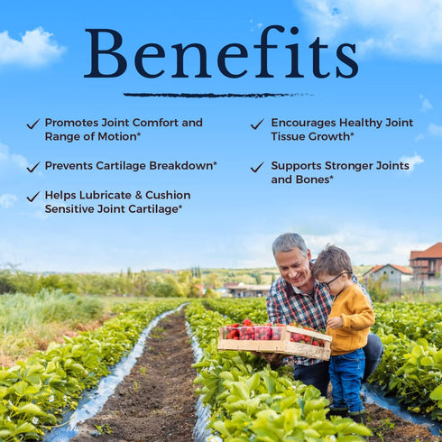 VITALITOWN Glucosamine Chondroitin MSM | Collagen, Boswellia, Turmeric, Hyaluronic Acid, Bromelain | Triple Action+ Joint Formula | 12 Joint-Lovin...