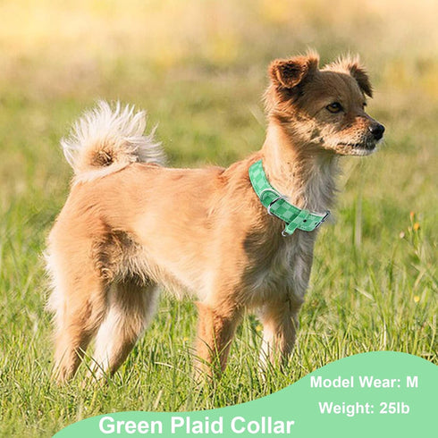 Dog Collar for Small Medium Large Dogs, Plaid Dog Collar Girl, Puppy Collars Chihuahua Collar Adjustable Pet Collar Collar para Perros (X-Small)...