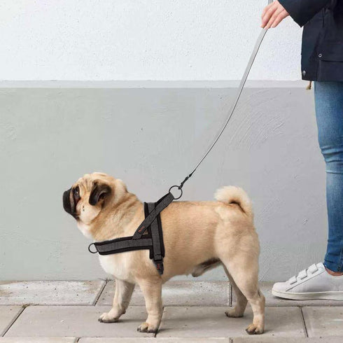 Didog No Pull Dog Harness with Breathable Mesh Padded, Full Reflective & Quick Fit Adjustable Vest Harness, Easy for Training Walking for Small & ...