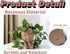 Face Planter Pots Succulent Planters, Face Flower Pot Head Planter for Indoor Outdoor Plants with Drainage Hole Cute Lady Face Plant Pots(Brown)...