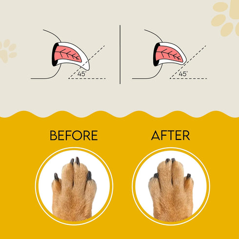 AnimoGoods™ Dog Nail File - Cat Nail File - Dog Nail File Board - Dog Scratch Pad for Nails - Stress Free Nail Filing for Dogs - Nail File for Dog...