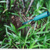 weed puller tool, Say Goodbye to The Weeds with Weed Remover Hand Tool for Your Garden, Yard, and Farm (1Pcs)...