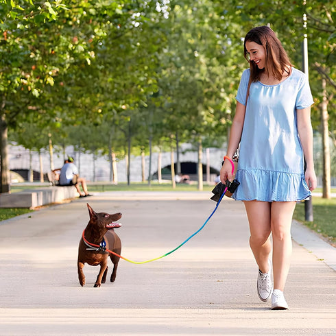3pcs Slip lead dog leash, no Pull Pet Training Leash for Medium and Small Dogs,two leather stoppers ?5feet?Rainbow?...