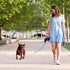 3pcs Slip lead dog leash, no Pull Pet Training Leash for Medium and Small Dogs,two leather stoppers ?5feet?Rainbow?...