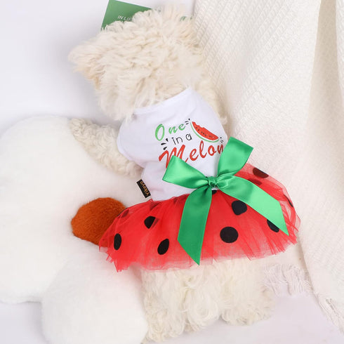 Dog Dress for Small Medium Dogs Girl Watermelon Polka Dots Mesh Dress Dog Outfit, Summer Fall Tutu Dog Dresses Cat Apparel, Cute Pet Puppy Clothin...