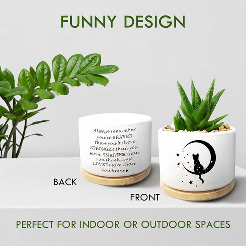 Cute Cat Succulent Plant Pot with Inspirational Quote, Funny Small Cactus Flower Planter Pots for Indoor Plants, Windowsill Desk Decor Planter Gif...
