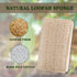 Upgrade Natural Loofah Kitchen Sponges 6 Pack, eco Friendly sponges for Dishes ,Reusable Kitchen sponges and scrubbers,luffa sponges Dish sponges ...