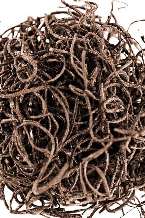 SuperMoss (26972) Spanish Moss Preserved, Coffee, 8oz (200 cubic inch)...