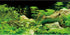 AWERT 36x18 inches Aquarium Background Seaweed Aquarium Background Aquatic Plant Stone River Bed & Lake Fish Tank Background Vinyl Background...