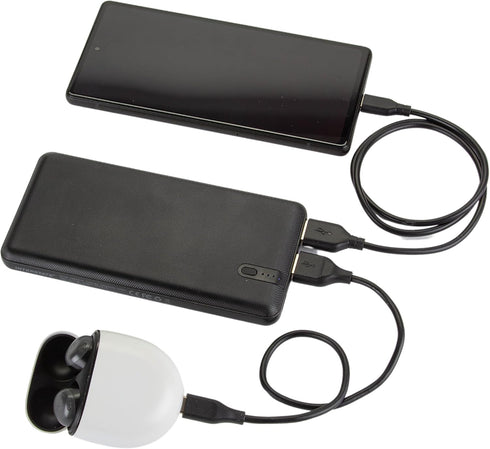 Interstate Batteries Power Bank Charger 10000mAh Portable Charge for Cell Phones, Electronics, Emergencies (5V, 10Ah) LED USB Power Battery Pack O...