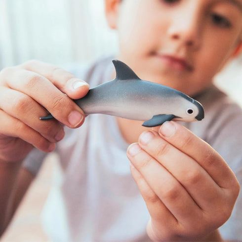 Safari Ltd. Vaquita Porpoise Figurine - Realistic 3.75" Plastic Figure - Educational Sea Life Toy for Boys, Girls and Kids Ages 3+...