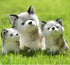 Plush Husky Dog Stuffed Animals Puppy Toys Dolls Gifts for Kids Boys Girls 8 Inches...