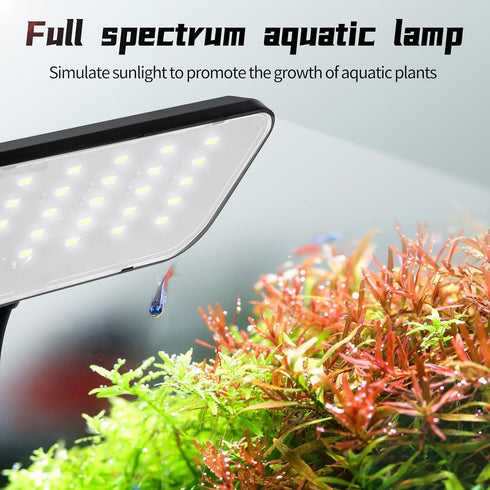 Boxtech Fish Tank Led Light, Small Aquarium Clip On Light, 8W White Led Clamp Light, 4.53 Inch USB Full Spectrum Planted Light for 3 to 6 Gallon T...