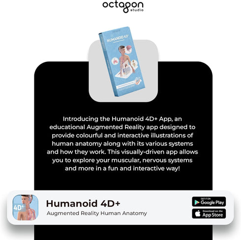 Humanoid 4D+ Augmented Reality Human Anatomy Model - Interactive Educational STEM Tool with Free App, Audio Narration, Multilingual Support - Expl...