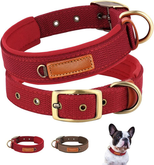 PET ARTIST Soft Neoprene Padded Nylon Dog Collar with Mental Buckle Comfort Pet Collar for Small Medium Girls Boys Dogs Red S Neck Size 10-14"(25-...