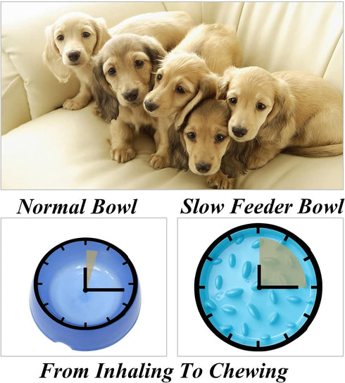 JASGOOD Slow Feeder Dog Bowl for Medium Dogs Slow Feeding Interactive Bloat Stop Dog Bowls,Blue,Medium...